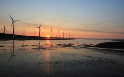 Ternan Energy interviewed for TV: The Energy Mix of the Future
